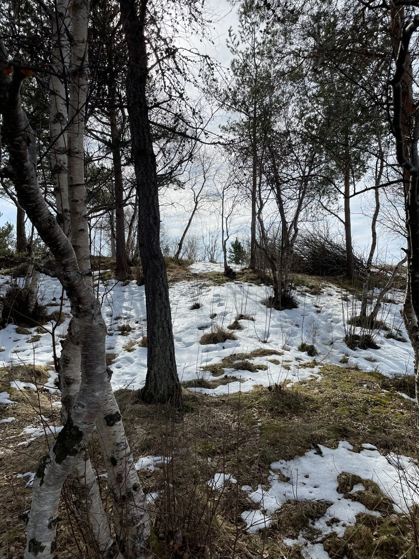 Photo from Kjerringberget