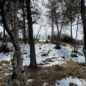 Photo from Kjerringberget