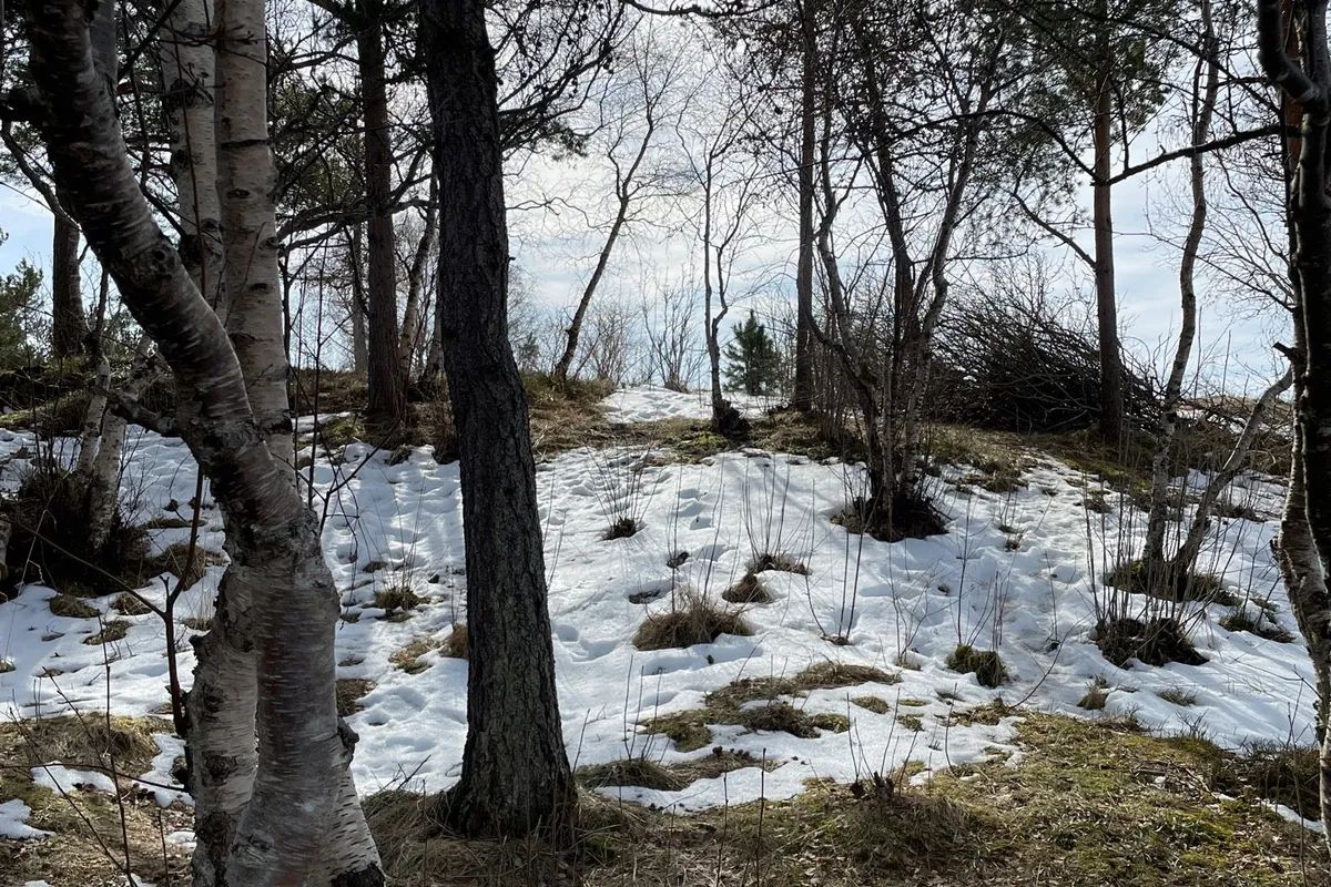 Photo from Kjerringberget
