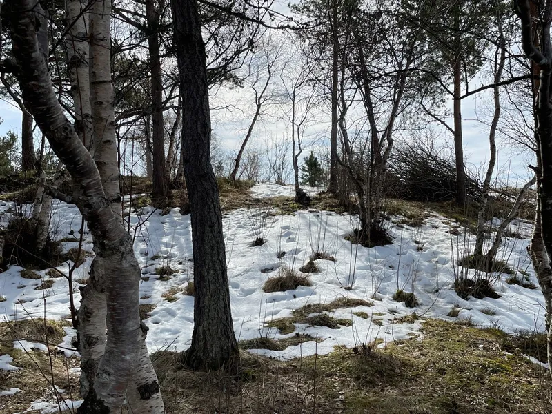 Photo from Kjerringberget