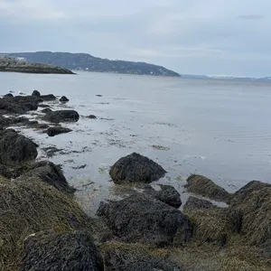 Photo from Korsvika