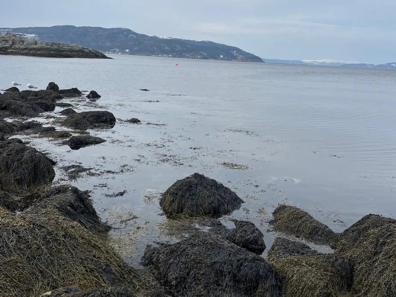 Photo from Korsvika
