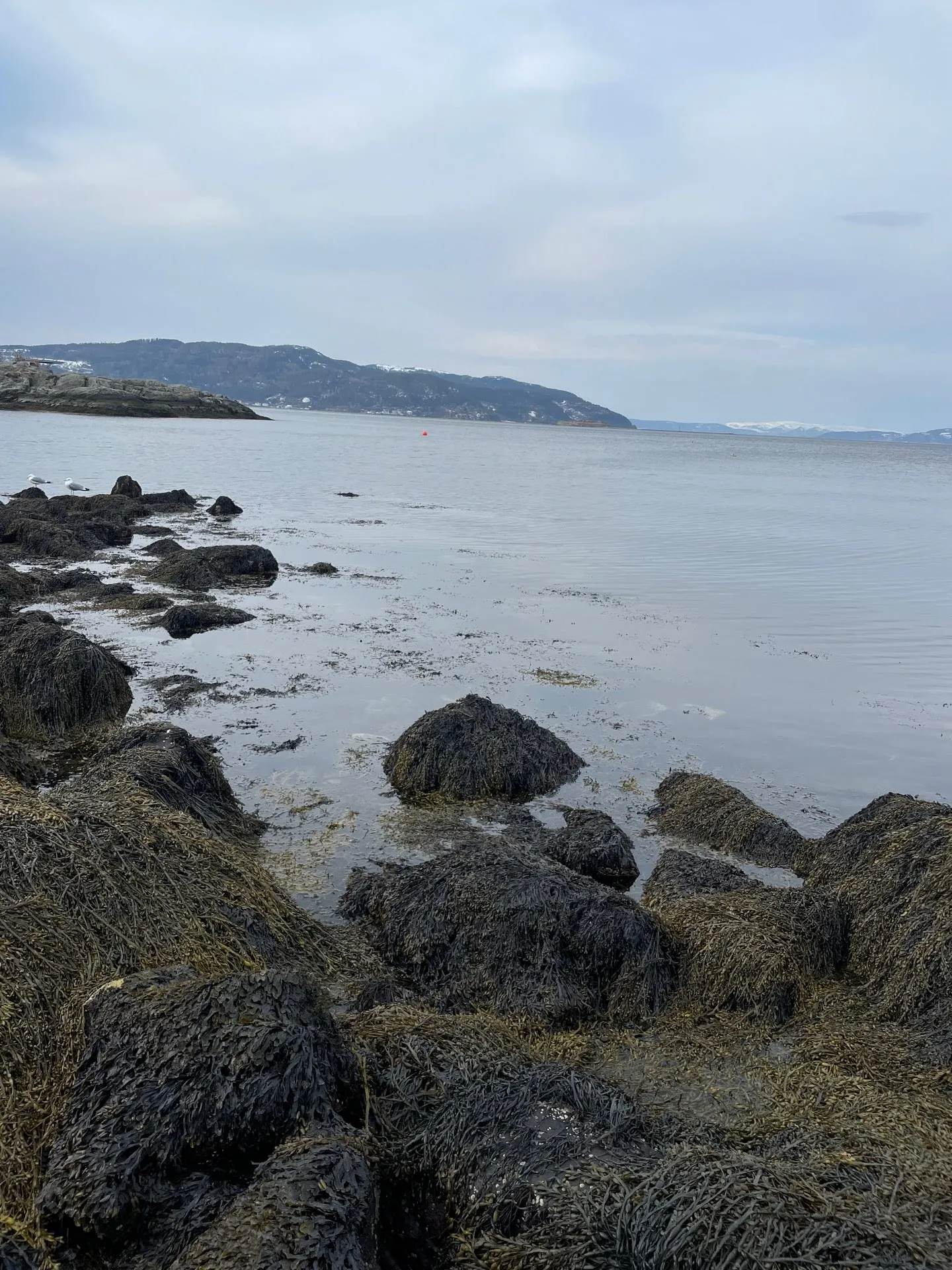 Photo from Korsvika