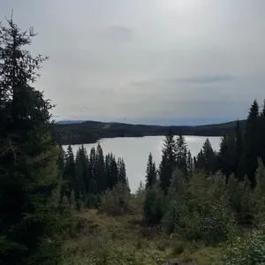 Photo from Grønlia
