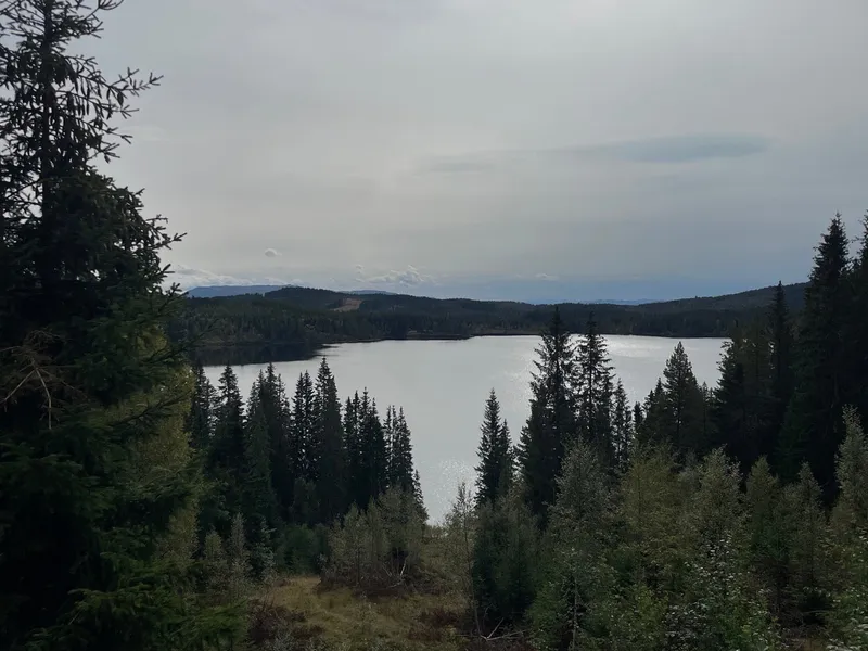 Photo from Grønlia