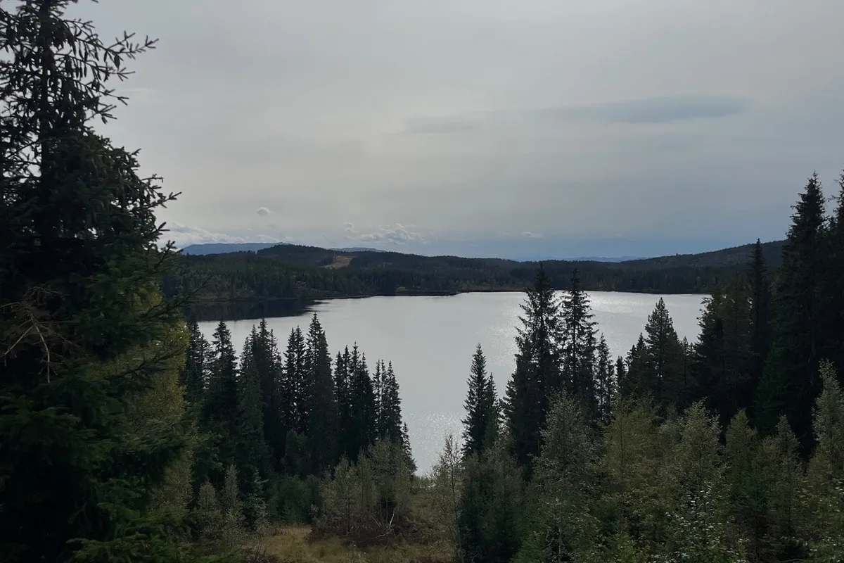 Photo from Grønlia