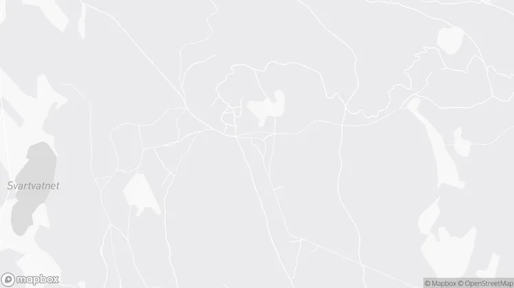 Location of the checkin as a mapbox picture