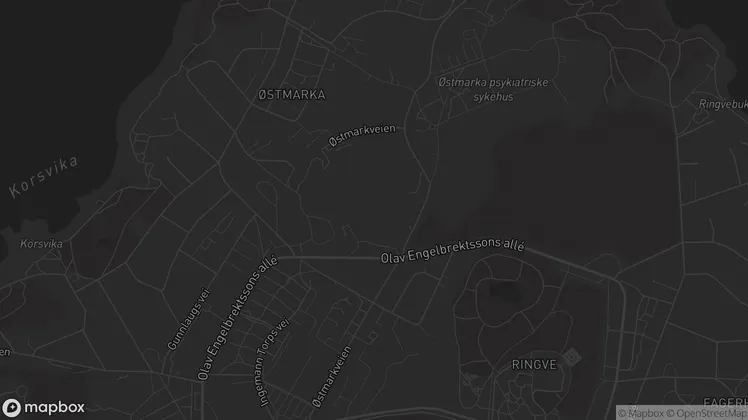 Location of the checkin as a mapbox picture