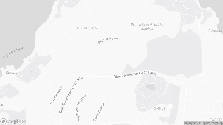 Location of the checkin as a mapbox picture
