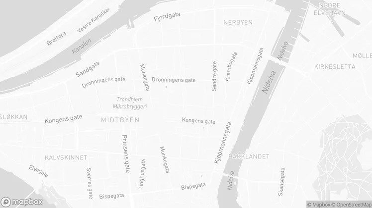 Location of the checkin as a mapbox picture
